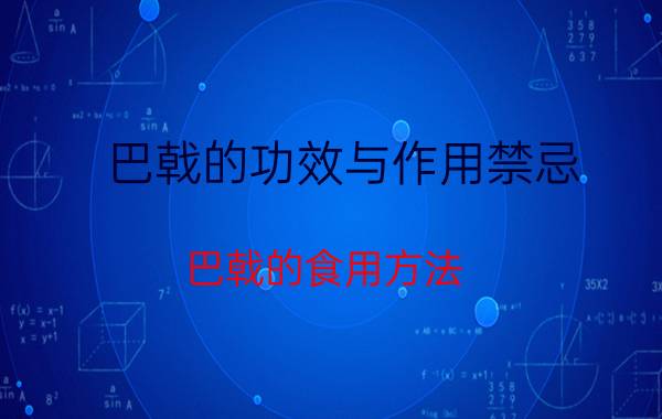 巴戟的功效与作用禁忌 巴戟的食用方法